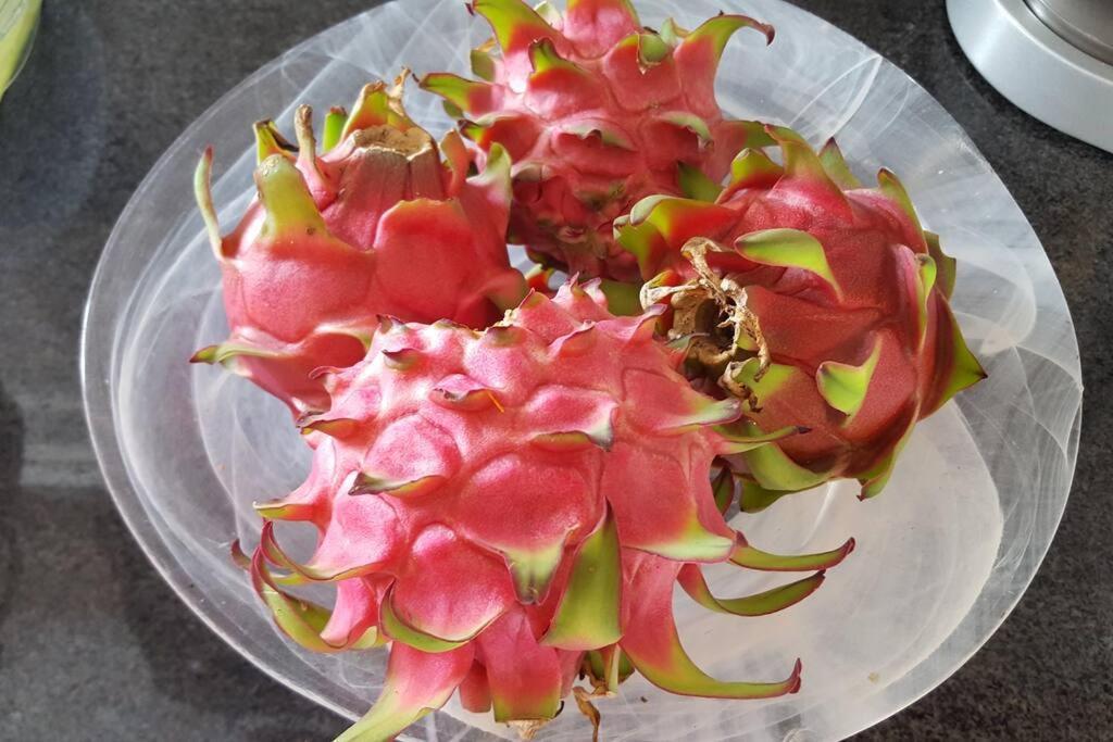 Le Pitaya Baillif Exterior foto